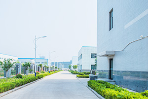 自公司成立以來(lái)，以振興和發(fā)展我國(guó)貴金屬催化劑和催化工藝為己任，已研究、開(kāi)發(fā)出了活性炭負(fù)載，氧化物負(fù)載，有機(jī)物負(fù)載貴金屬催化劑，均相催化劑，手性催化劑，專用催化劑等上百種催化劑，以及一百多種催化合成/反應(yīng)工藝技術(shù)。